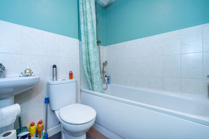 Photo 11- click for photo gallery